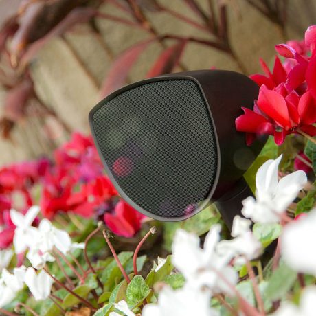 Origin Acoustics Speaker in Flowers